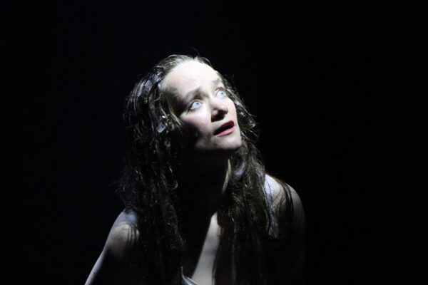 In MetaFAUST. © Laura Ritter